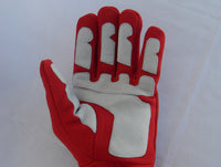 Michael Schumacher 2006 Racing gloves / Ferrari F1
